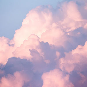 Meet your Posher, Fiona